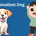 Top 10 Smallest Dog Breed in the World : Watch No 1 For Surprise
