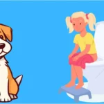 Why Dogs Follow You into the Bathroom : Exploring Canine Curiosity and Loyalty